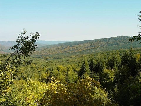 More protected: 82% countries raised cover for vulnerable areas in a decade