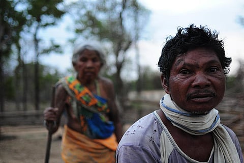 धरती की करीब 17 फीसदी हिस्सा है संरक्षित, संयुक्त राष्ट्र की रिपोर्ट में हुआ खुलासा