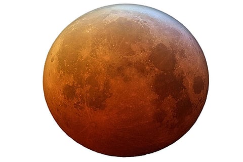 Photo : Wikimedia Commons