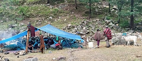The Van Gujjar encampment at Naitwad, on the outskirts of the Govind Pashu Vihar National Park in Uttarkashi district in Uttarakhand. Photo: Van Gujjar Sangathan
