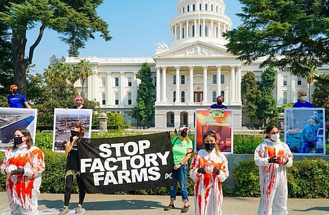 The end of meat and GMOs or the end of us: Part 1