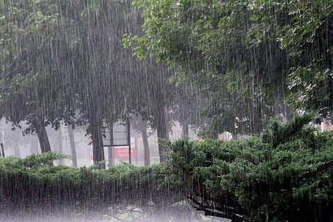 Photo : Wikimedia Commons