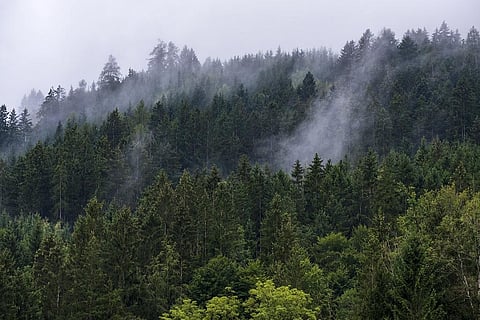 2003 से 2019 के बीच वैश्विक स्तर पर 10 फीसदी बढ़ी वाष्पन-वाष्पोत्सर्जन की दर