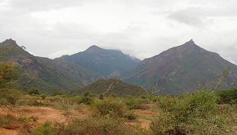The Megamalai hills. Photo: Mprabaharan via Wikimedia