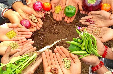 Local seeds and produce (Image by Drona Chetri from Navdanya)