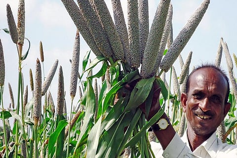 फोटो: इक्रीसेट/ एएस राव