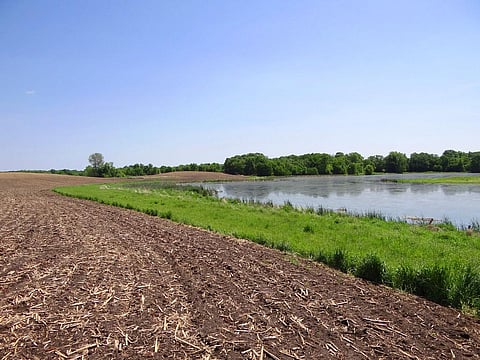 Nitrogen pollution limits safe margin for other environmental issues, say scientists