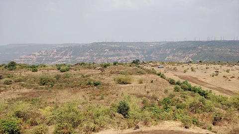 How ecological restoration helped transform a degraded land parcel in Maharashtra