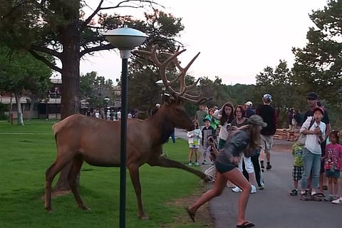 Photo: Wikimedia Commons