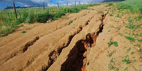 The world is using 1.6 times the amount of services that nature can provide, the report said. Photo: Getty Images