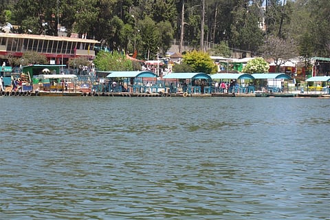 Photo:Wikimedia Commons