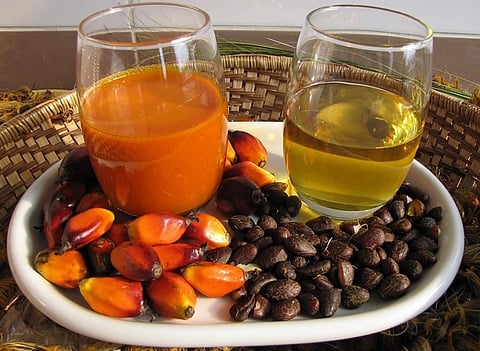 Reddish palm oil made from the pulp of oil palm fruit (Left). Clear palm kernel oil made from the kernels (Right). Photo: T.K. Naliaka via Wikipedia