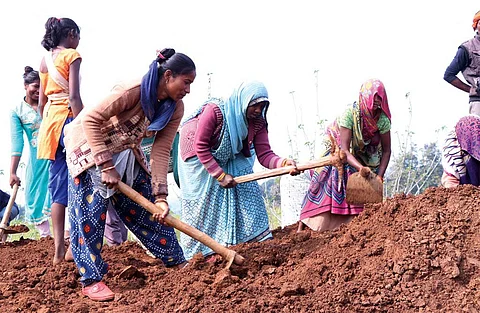 सीएसई आर्काइव