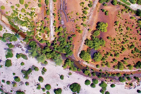 Photo : UNEP