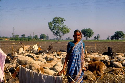 Women farmers are disproportionately more affected by climate change and land degradation. Photo: CSE / DTE