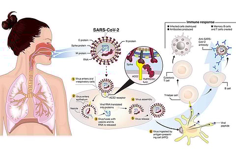 Photo: Wikimedia Commons