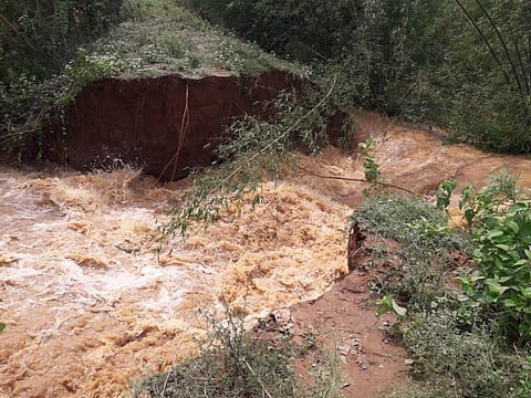 Cyclones to heat waves to starvation deaths: The Odisha model for survival