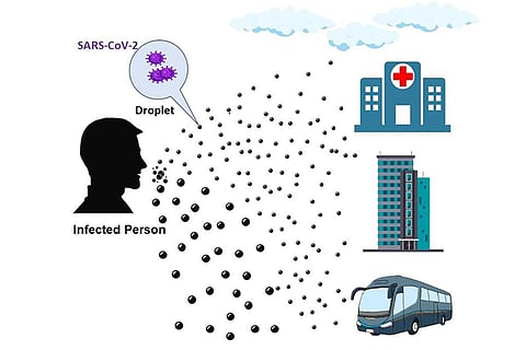 Photo : Wikimedia Commons