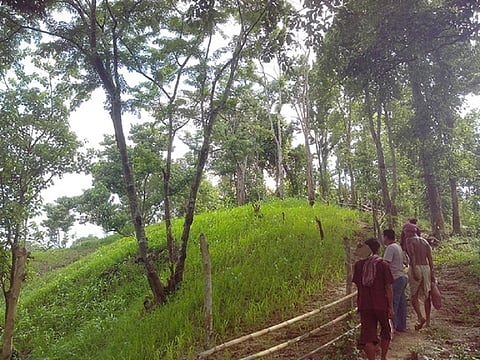 NGT notice to Tripura for rehabilitating displaced Brus in forest land