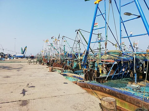 Trawler boats docked at Kasimedu fishing harbour, Royapuram, Chennai. Photo: Adarsh B Pradeep