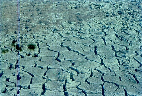 मानसून 2021: क्या पूर्वोत्तर और उत्तर-पश्चिमी भारत में भीषण सूखे का समय आ गया है?