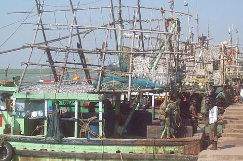 Fishing trawlers in the harbour at Paradip. Photo: Ashis Senapati