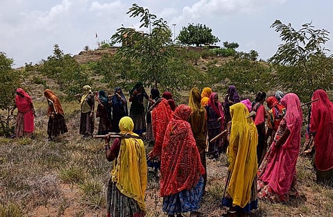 कोविड-19 के पहली लहर के वक्त राजस्थान का भीलवाड़ा क्षेत्र मनरेगा के कार्य में काफी अव्वल रहा। फोटो: अनिल अश्विनी