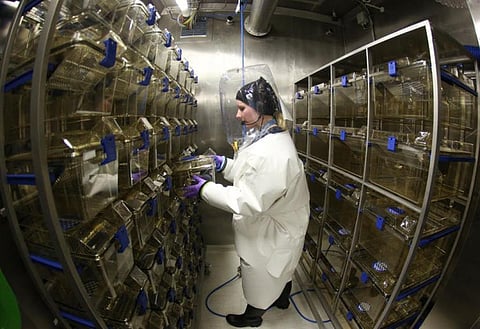 At least 59 labs handle the deadliest pathogens; only a quarter score high on safety