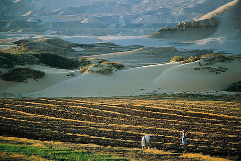 Africa’s drylands are getting more support. How to make the most of this