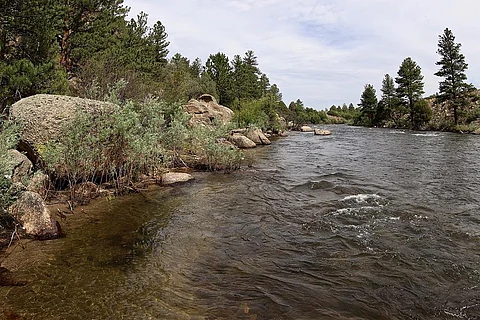 Photo : Wikimedia Commons