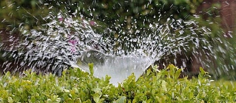 Sprinkler irrigation can help in a more water-efficient agriculture for India