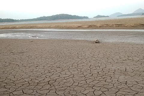 Photo : Wikimedia Commons