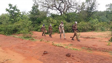 A patrol team at the Nagarjuna Sagar Srisailam Tiger Reserve during the national lockdown. Photo: Ninad Mungi and Ujjwal Kumar