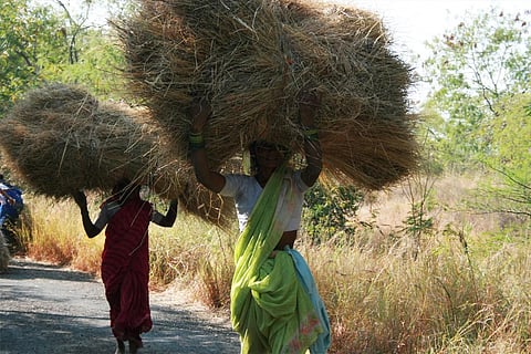 पुरुषों के मुकाबले कहीं ज्यादा भारतीय महिलाएं शारीरिक तौर पर हैं सक्रिय