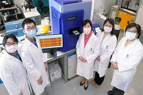 फोटो: हांगकांग यूनिवर्सिटी ऑफ साइंस एंड टेक्नोलॉजी