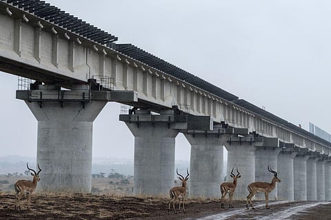 Kenya’s huge railway project is causing environmental damage. Here’s how