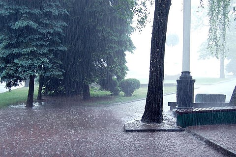 Photo : Wikimedia Commons