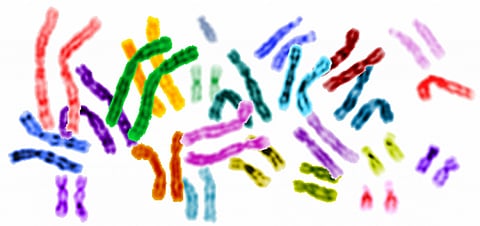 Why it took 20 years to ‘finish’ the human genome — and why there’s still more to do