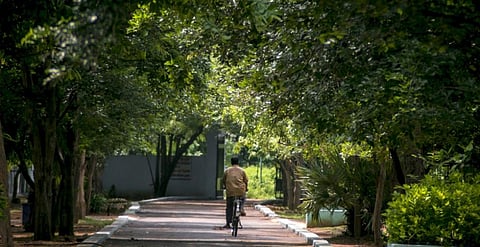 Children's Park located within the Guindy National Park in Chennai. Photo: Wikimedia