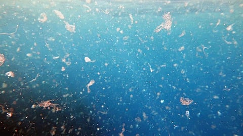 Oceans have the highest concentration of microplastics according to a US study