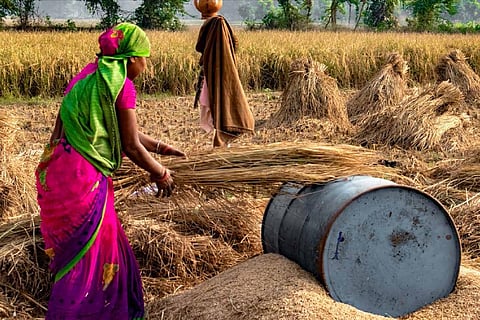 क्या कृषि से जुड़ा कचरा बदल देगा भारत में फैशन का भविष्य