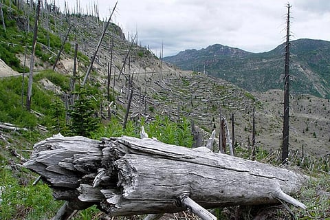 Photo : Wikimedia Commons