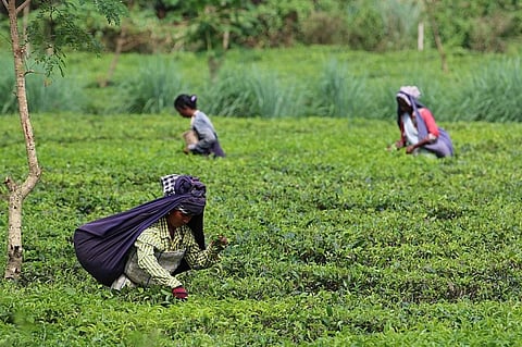 COVID-19: Child trafficking, assault on the rise in north Bengal