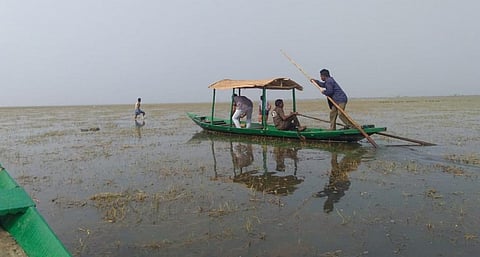 Former poacher, Kishore Behera (in blue shirt) rows a boat on the Chilika lake. Photo: Hrusikesh Mohanty
