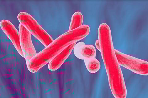 New insights into TB bacteria mechanism that helps it evade immune system: Researchers