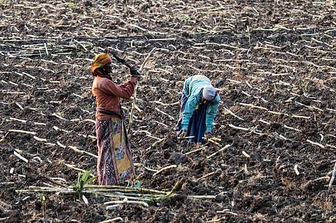 Is ethanol blending in petrol really green?