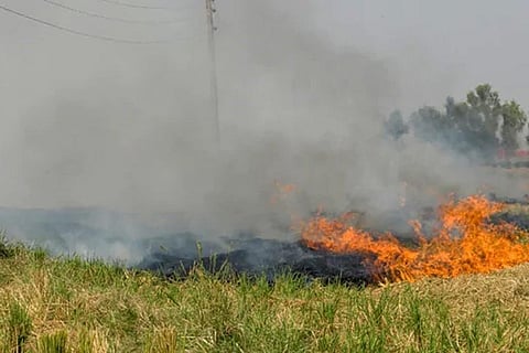 फोटो : विकिमीडिया कॉमन्स