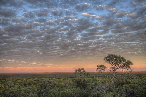 More livestock, more carbon dioxide, less ice: The world’s climate change progress since 2019 is (mostly) bad news