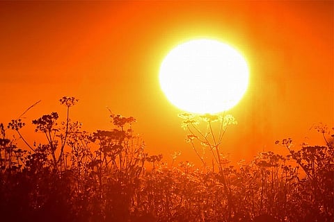 Is India ready: CSE finds worrying signs of heat stress