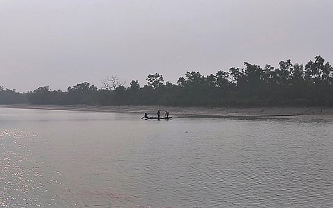 Ethos of a sinking space: Fishers in Sundarbans surmount tiger attacks, bureaucracy to earn livelihoods